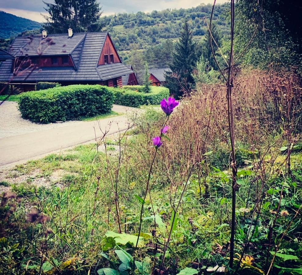 Drevenica Uhorcik Villa Terchová Exterior foto