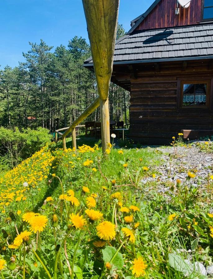 Drevenica Uhorcik Villa Terchová Exterior foto